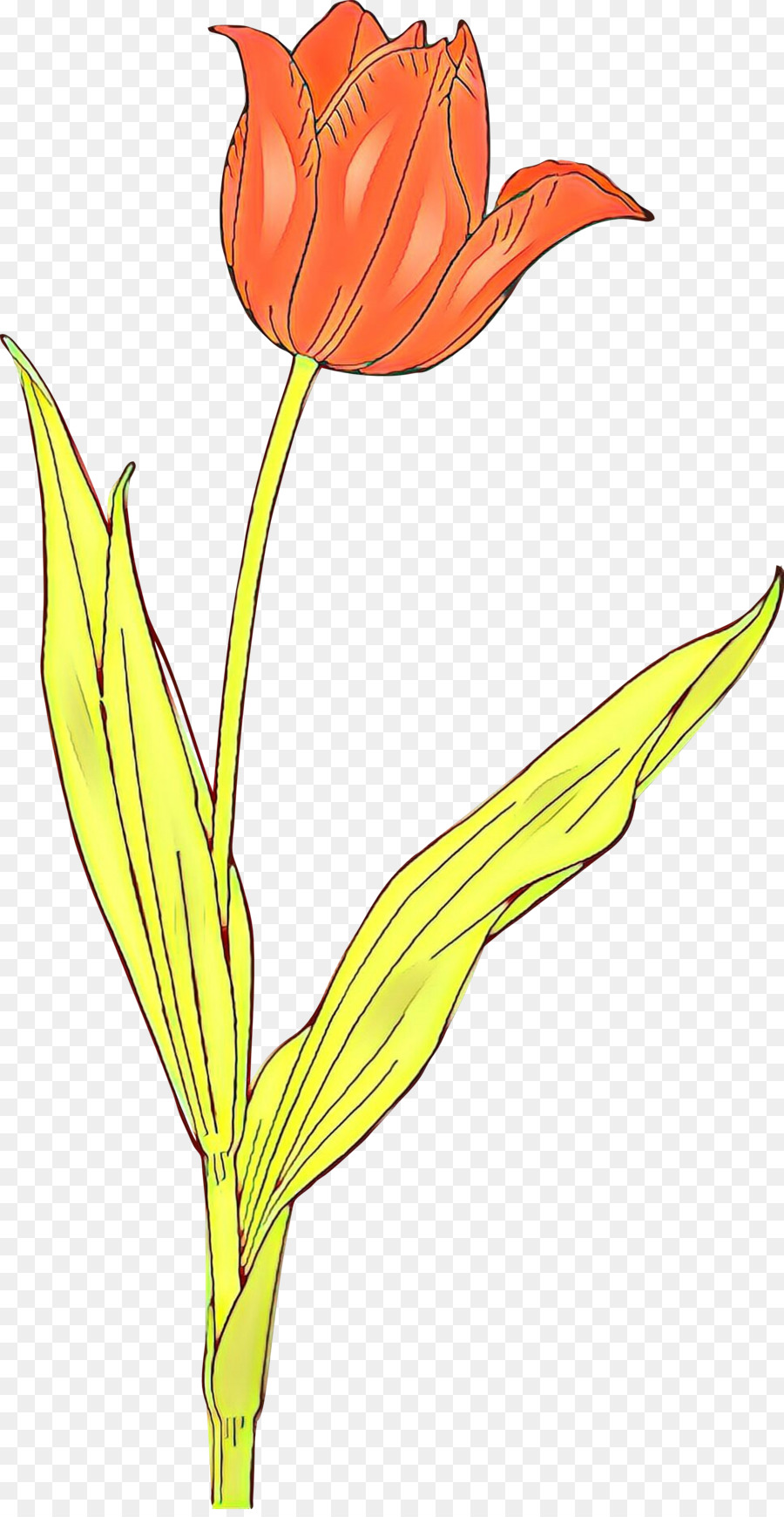 Fleur，Rouge PNG