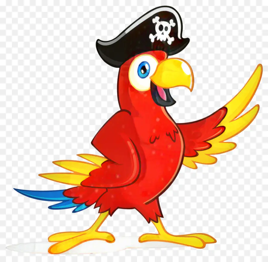 Perroquet Pirate，Chapeau PNG