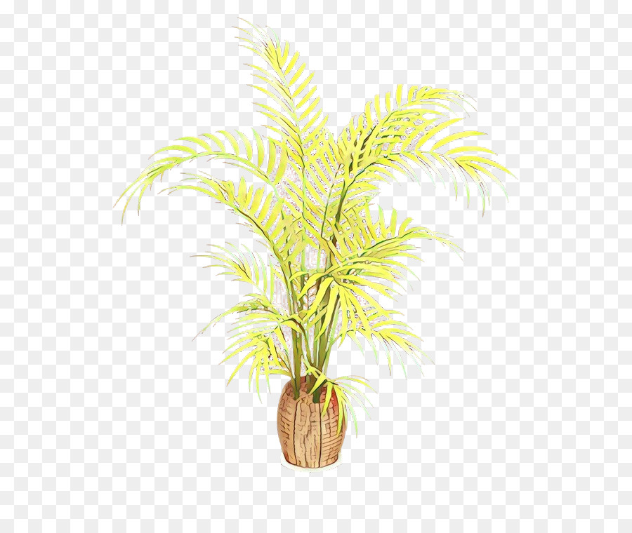 Palmier Dattier，Flowerpot PNG