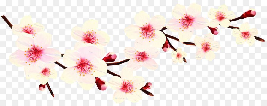 Fleur De Cerisier，Fleur PNG