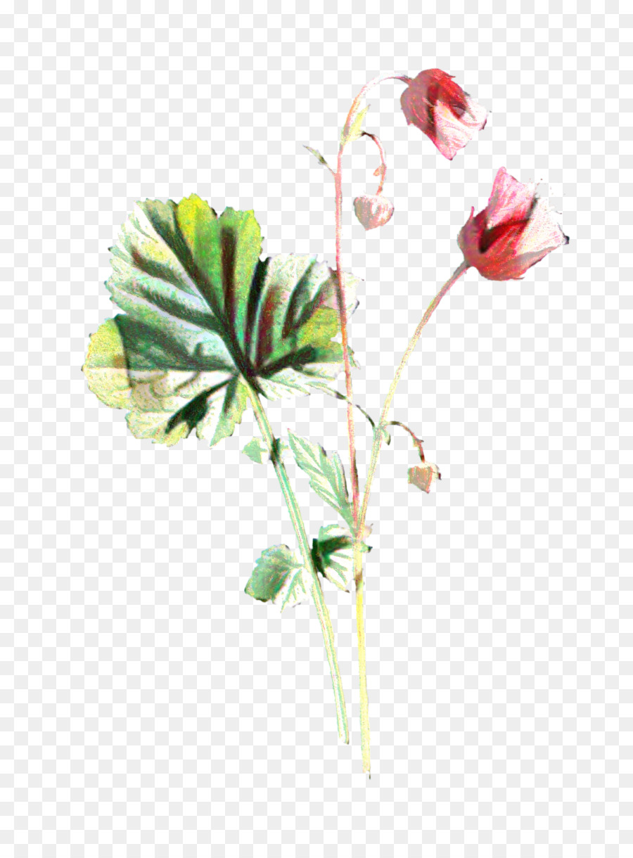 Tige De La Plante，Les Fleurs Coupées PNG