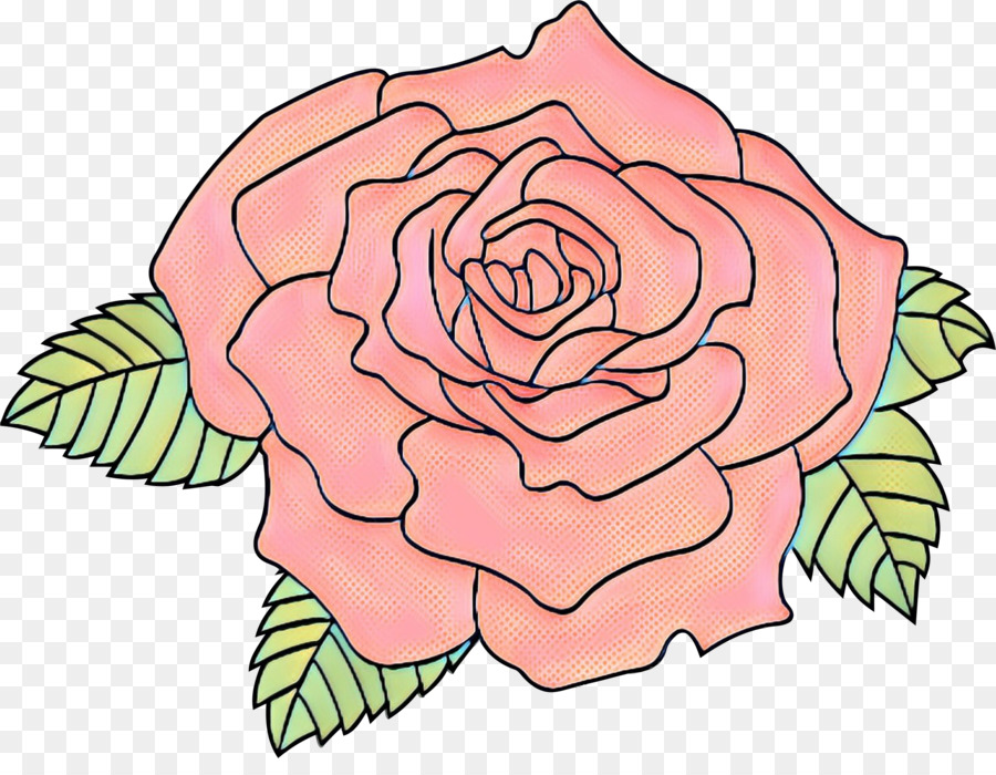 Roses，Floraison PNG