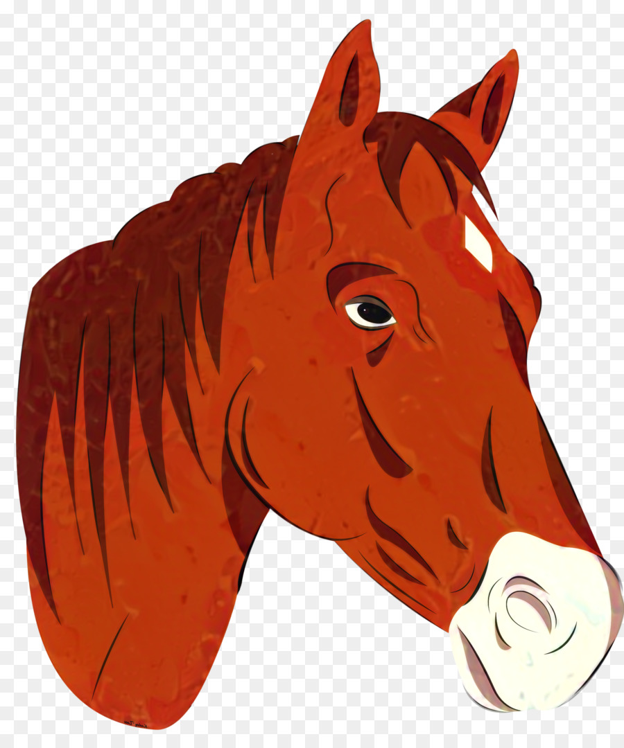 Tête De Cheval，Crinière PNG