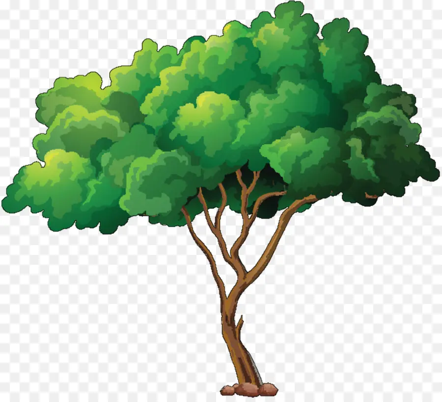 Arbre Vert，Arbre PNG