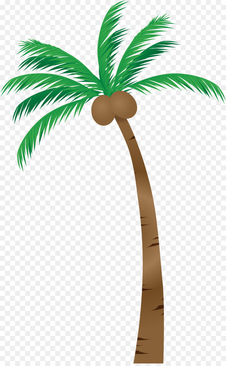 Les Palmiers，Asiatique De Rônier PNG