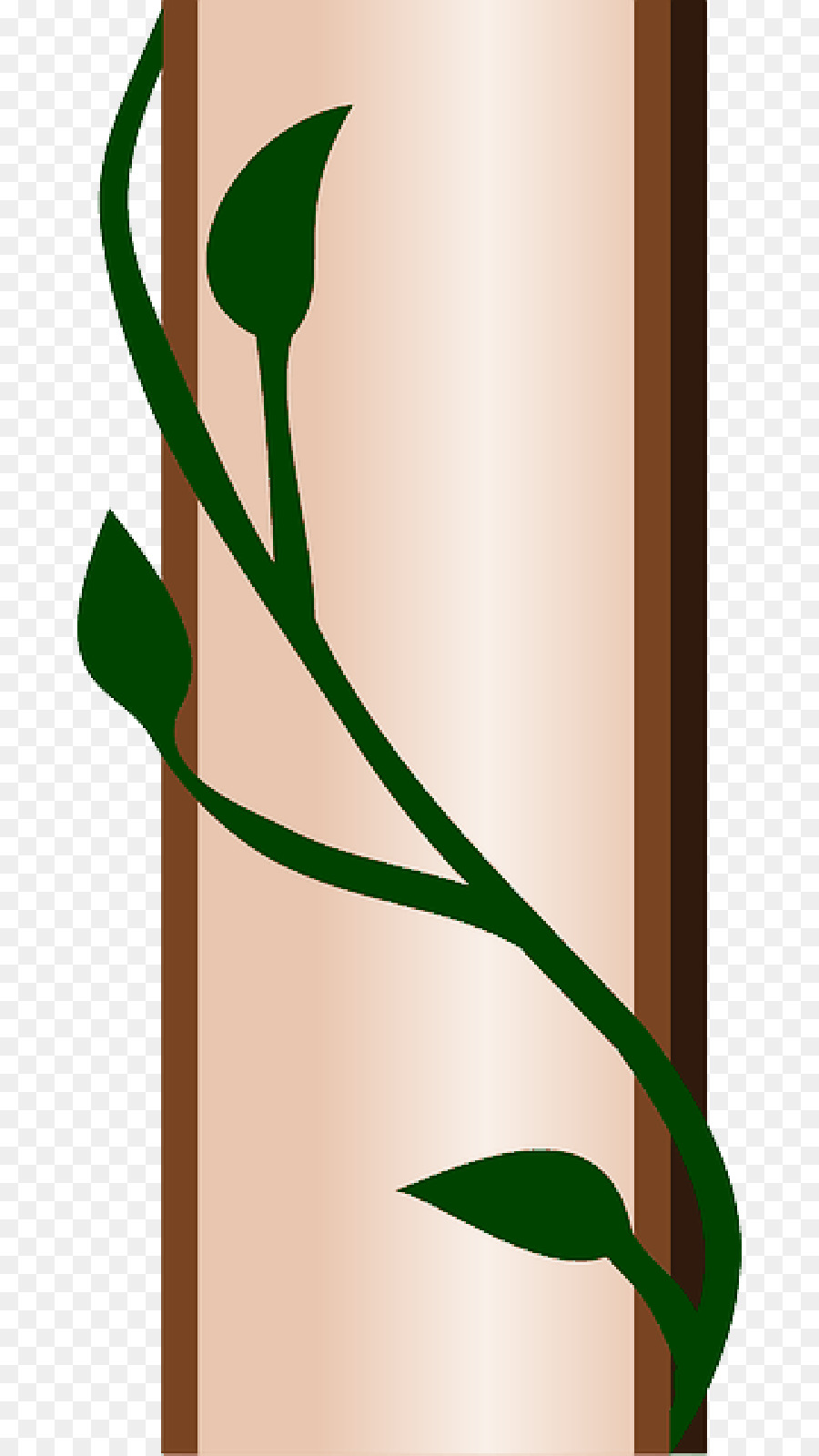 Vigne Verte，Feuille PNG