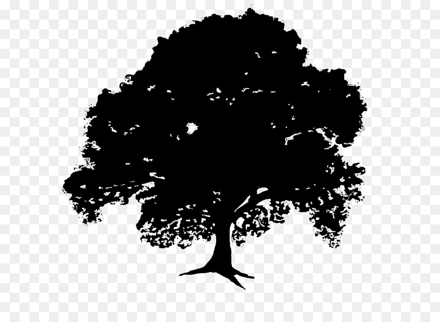 Silhouette D'arbre，Usine PNG