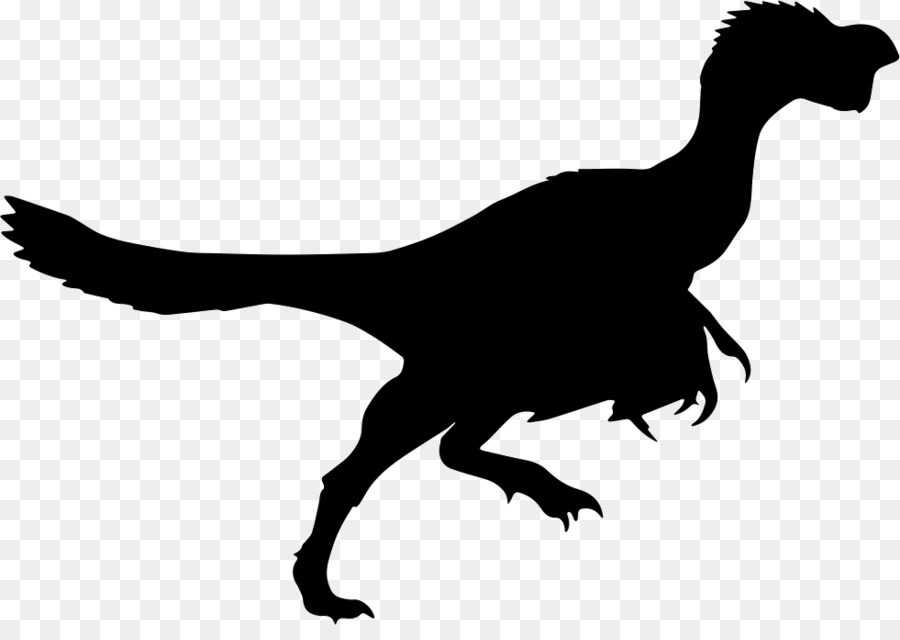 Velociraptor，Dinosaure PNG