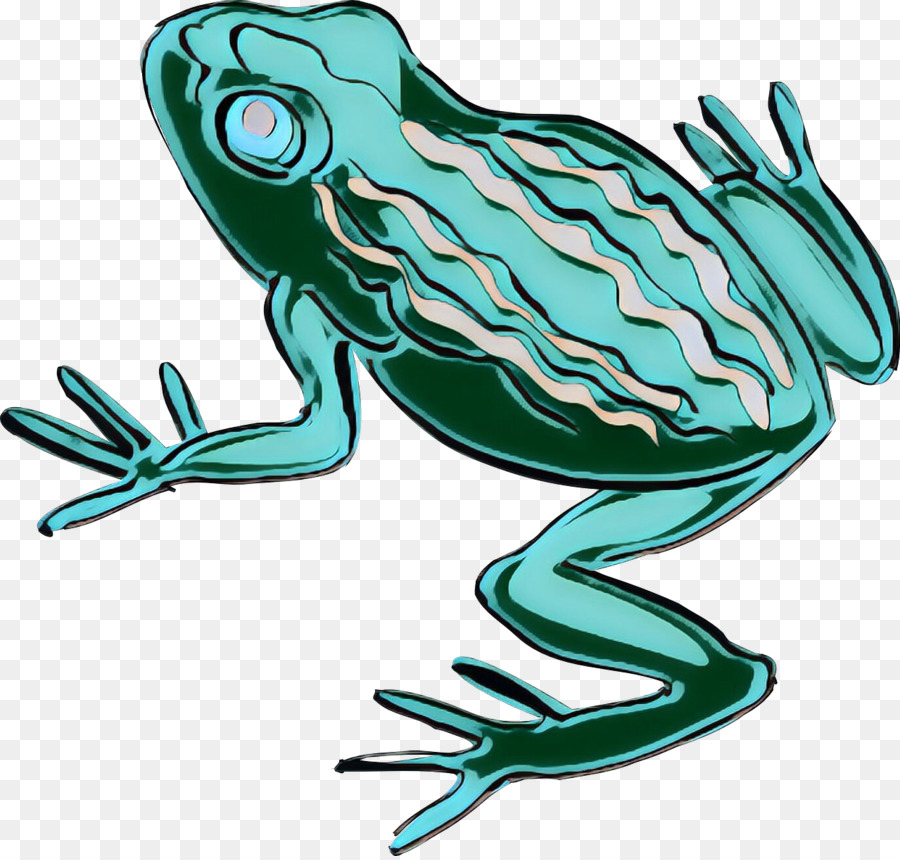 Crapaud，Vrai Grenouille PNG