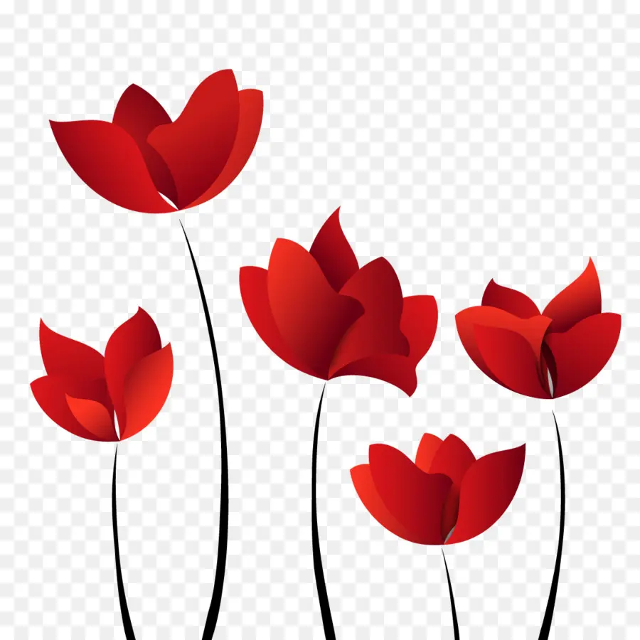 Coquelicots，Rouge PNG