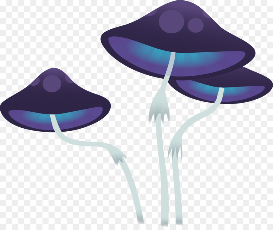 Champignons，Clitocybe Acromelalga PNG