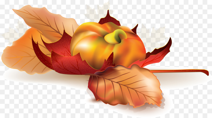 L'automne，La Publicité PNG