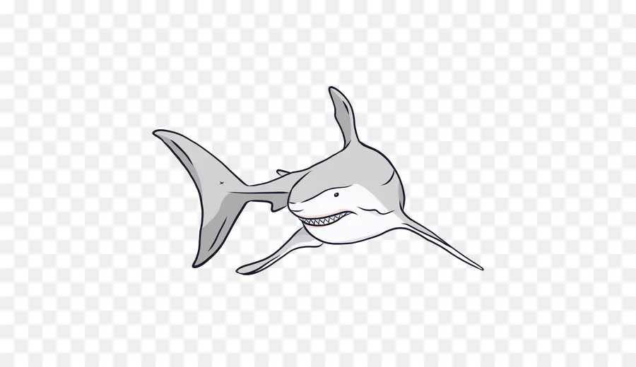 Requin，Dessin PNG