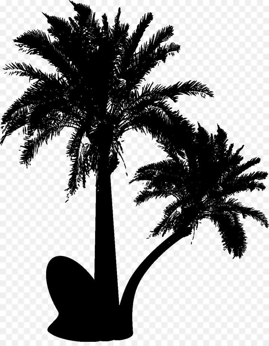 Les Palmiers，Silhouette PNG