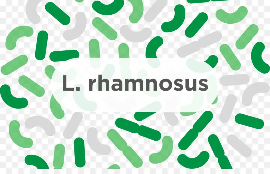 L Rhamnosus，Probiotique PNG