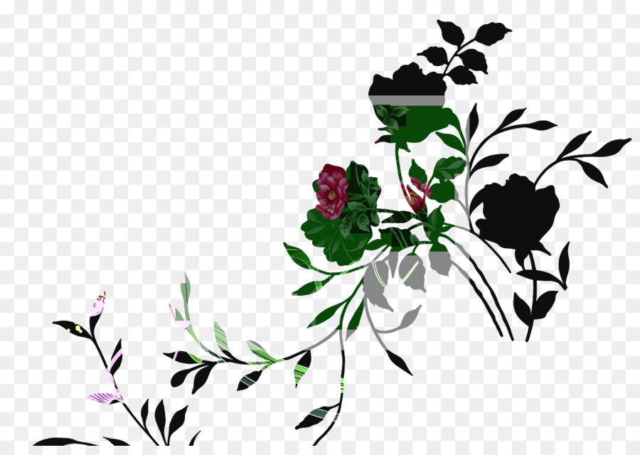 Design Floral，Moutan Pivoine PNG