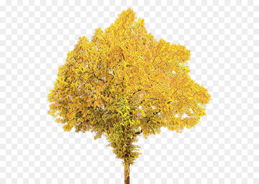 Arbre D'automne，Feuilles PNG