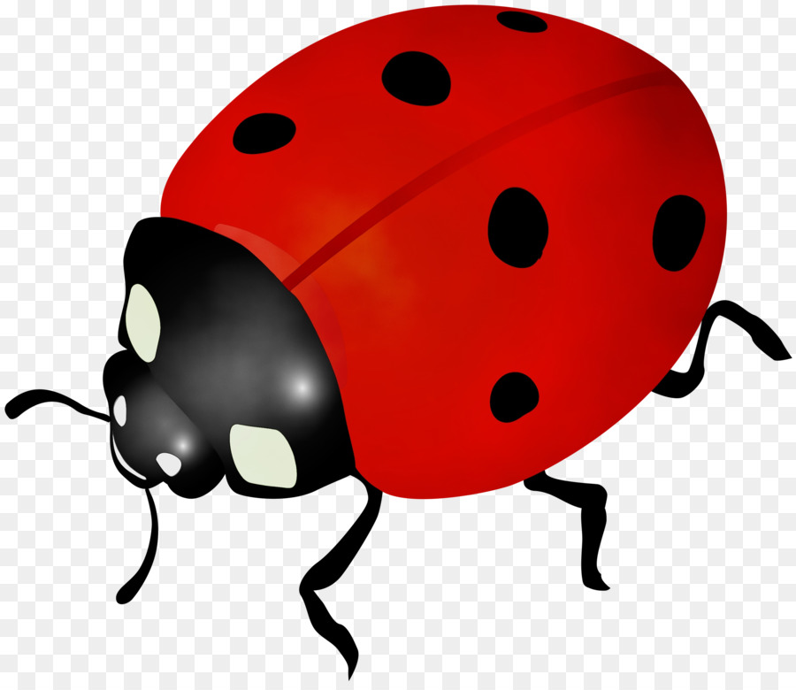 Coccinelle，Bogue PNG