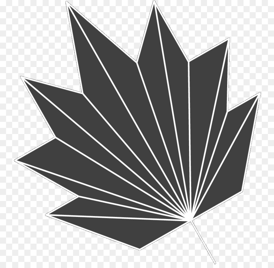 Noir Blanc M，Feuille PNG