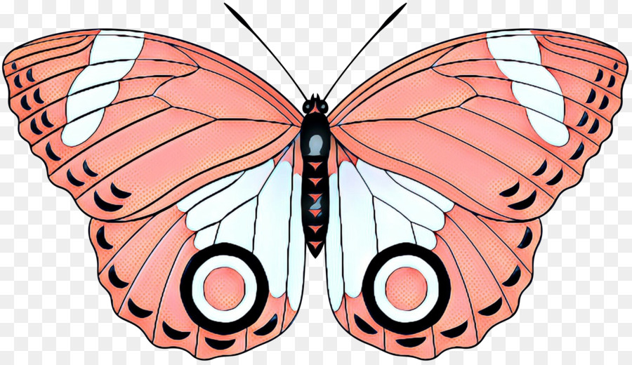 Papillon Coloré，Ailes PNG