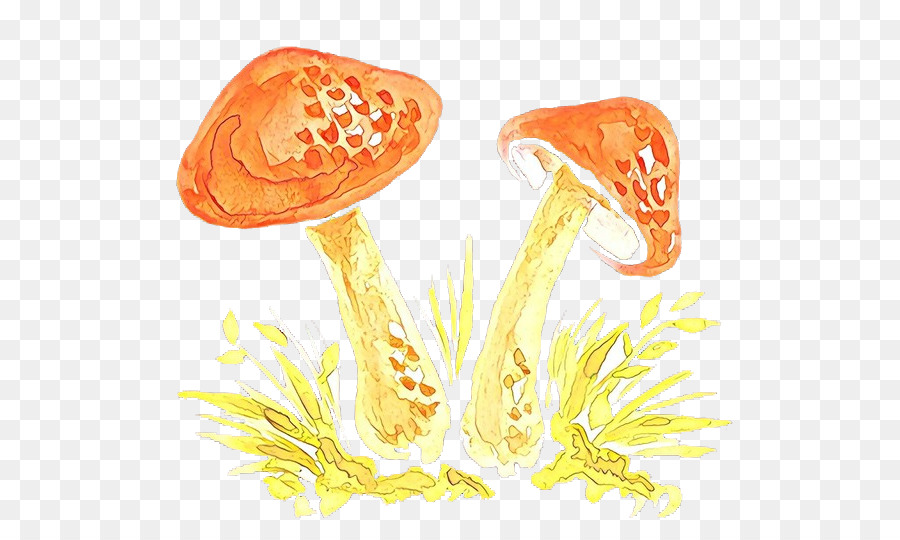 Champignon，Bonnet Rouge PNG