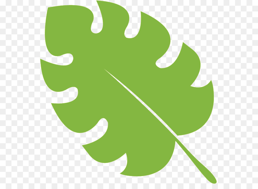 Feuille，Ligne PNG