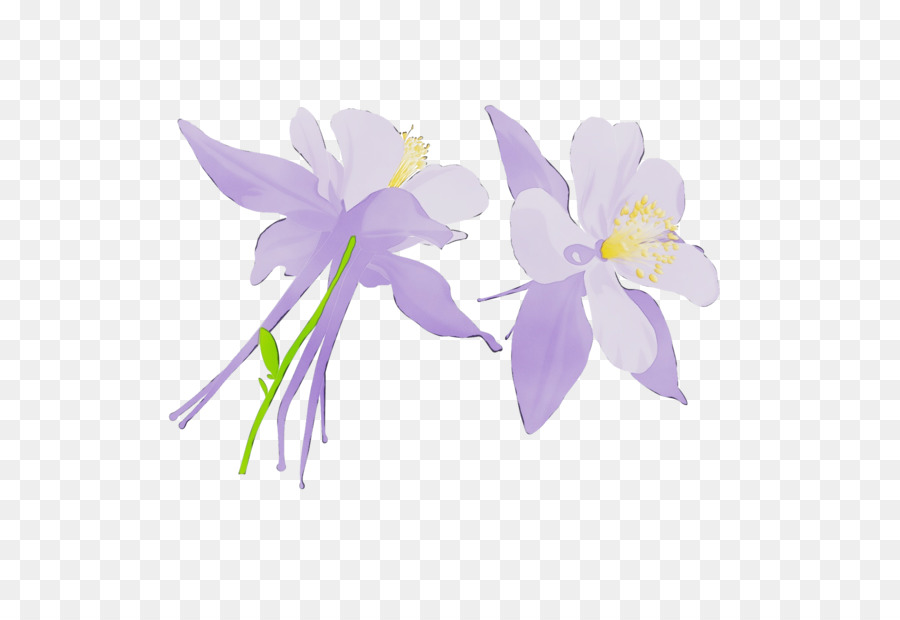 Fleurs Violettes，Fleurir PNG