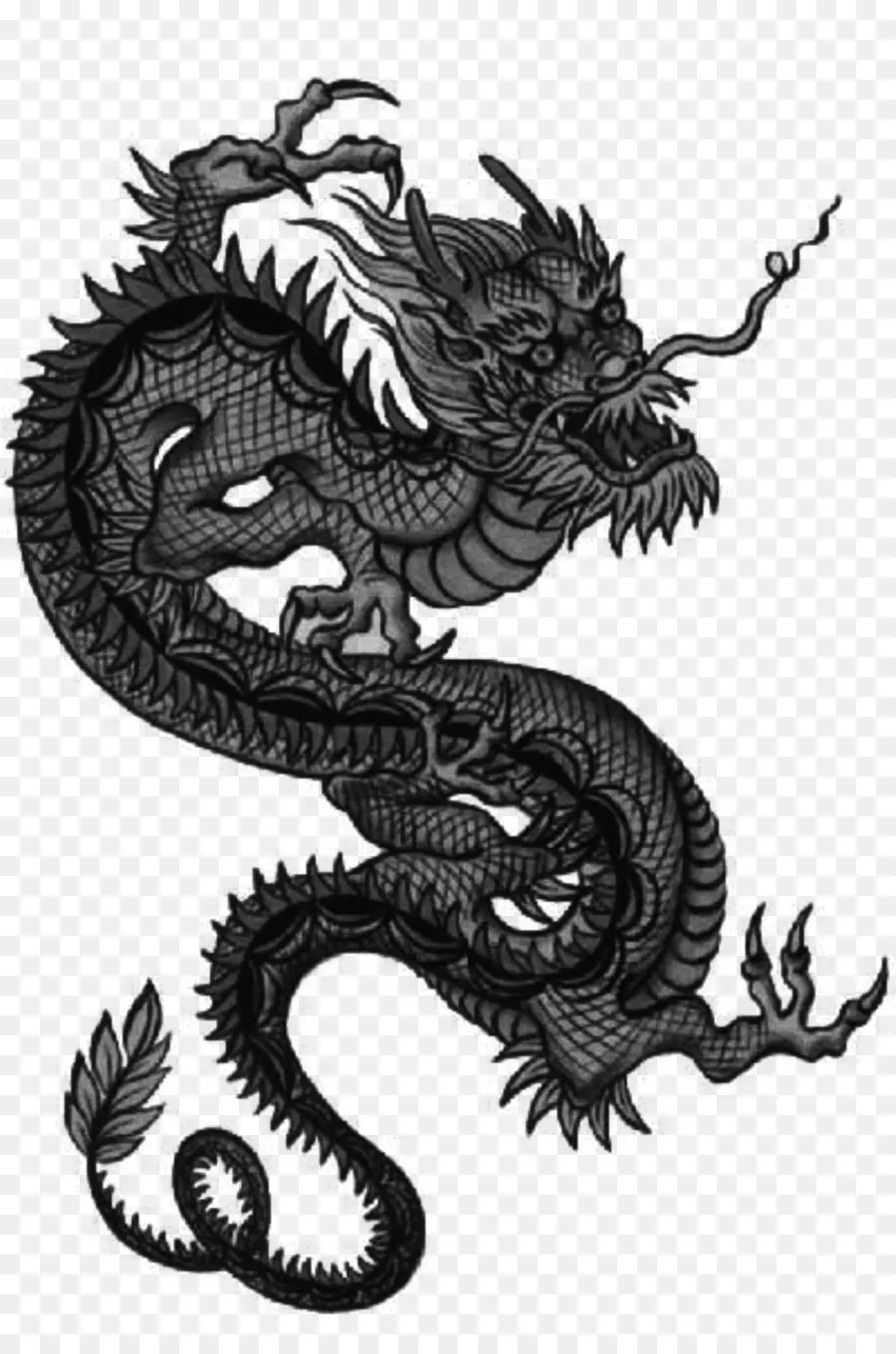 Dragon，Japonais Dragon PNG