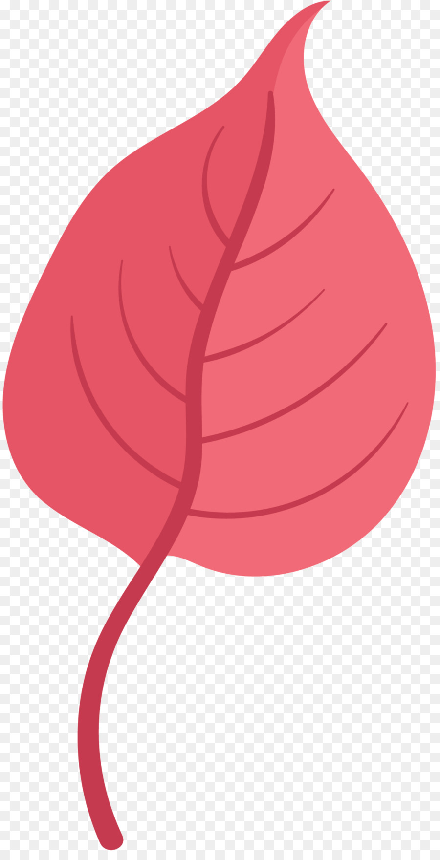 La Floraison De La Plante，Feuille PNG