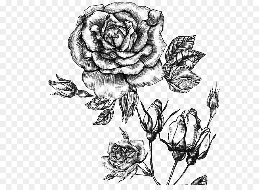 Les Roses De Jardin，Parfum PNG