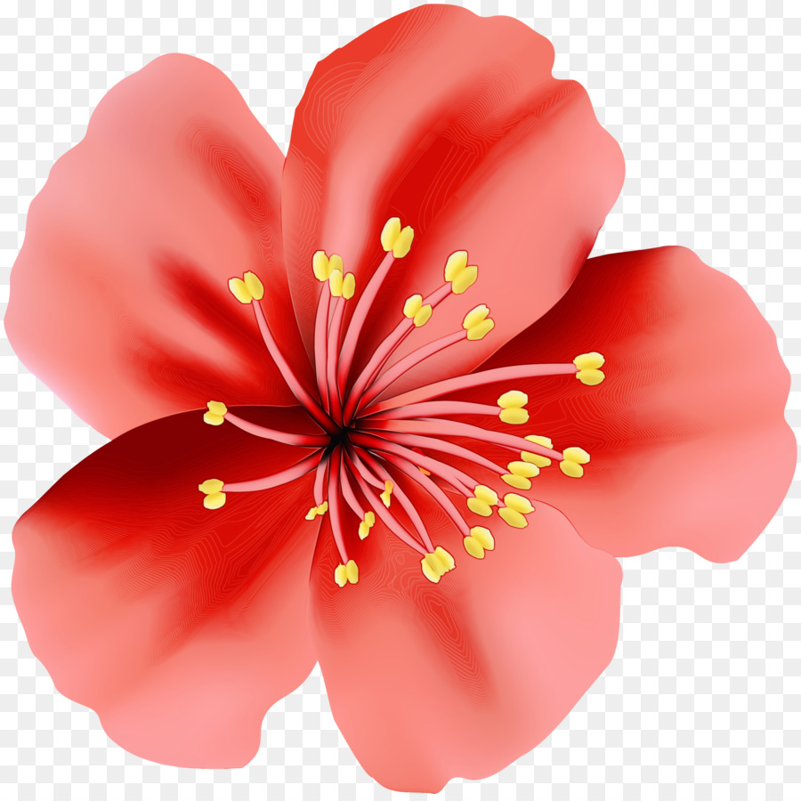 Fleur，Fleurir PNG