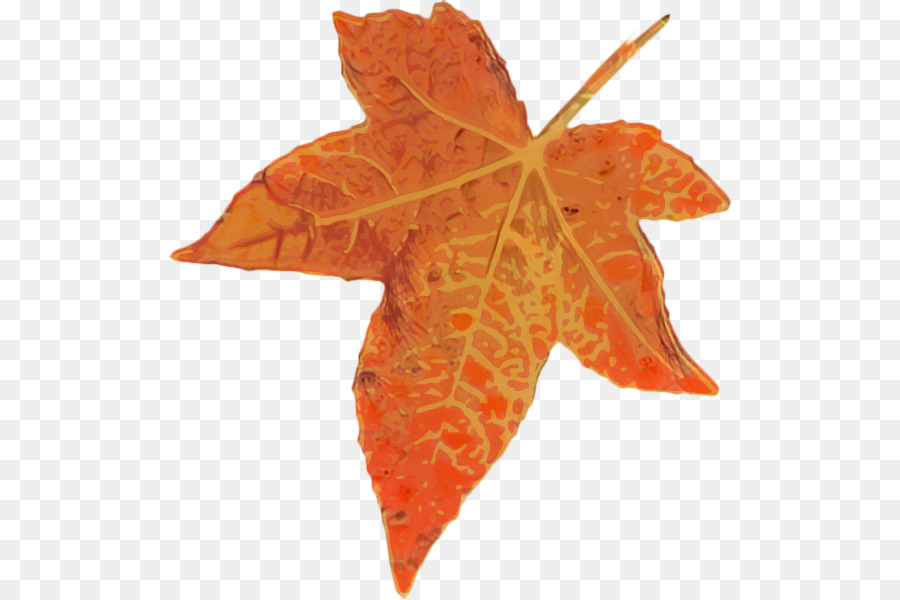 Feuilles Brunes，Automne PNG