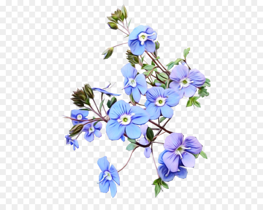 Fleurs Bleues，Bouquet PNG