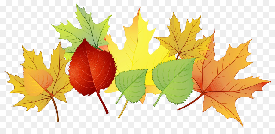 Feuilles D'automne，Automne PNG