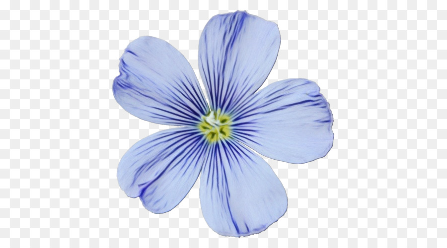 Fleurs，Floraison PNG