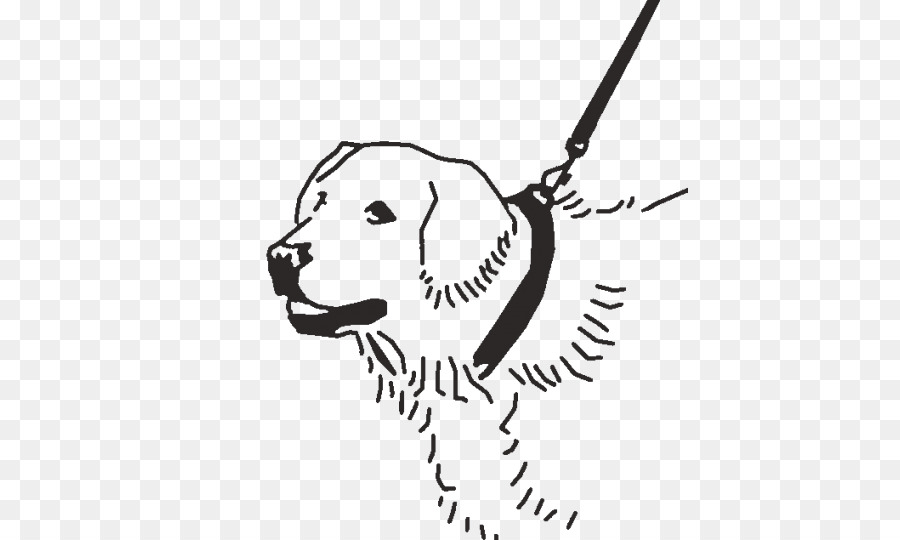 Race De Chien，Dessin PNG