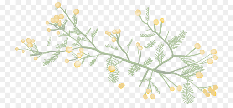 Design Floral，Cuisine Karoo Confortable PNG