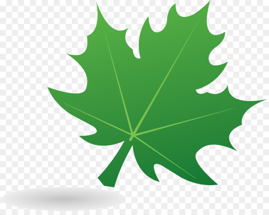 Feuille Verte，Usine PNG