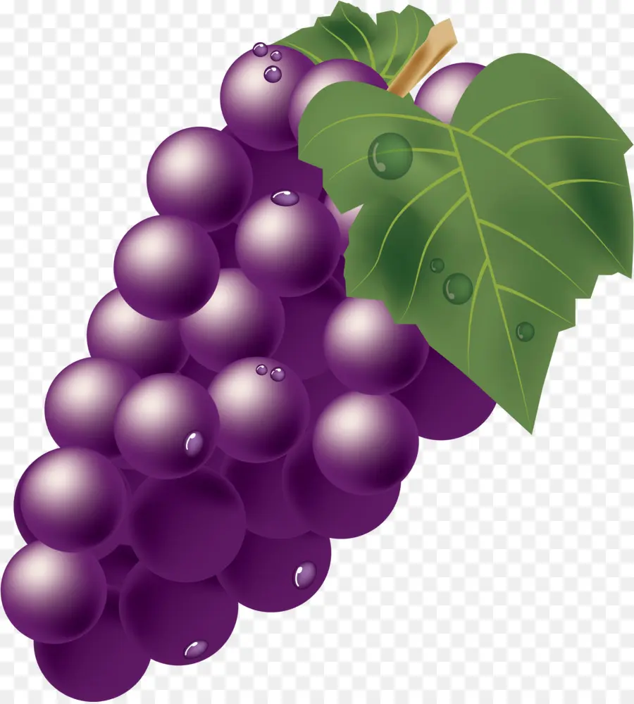 Raisins Violets，Vigne PNG