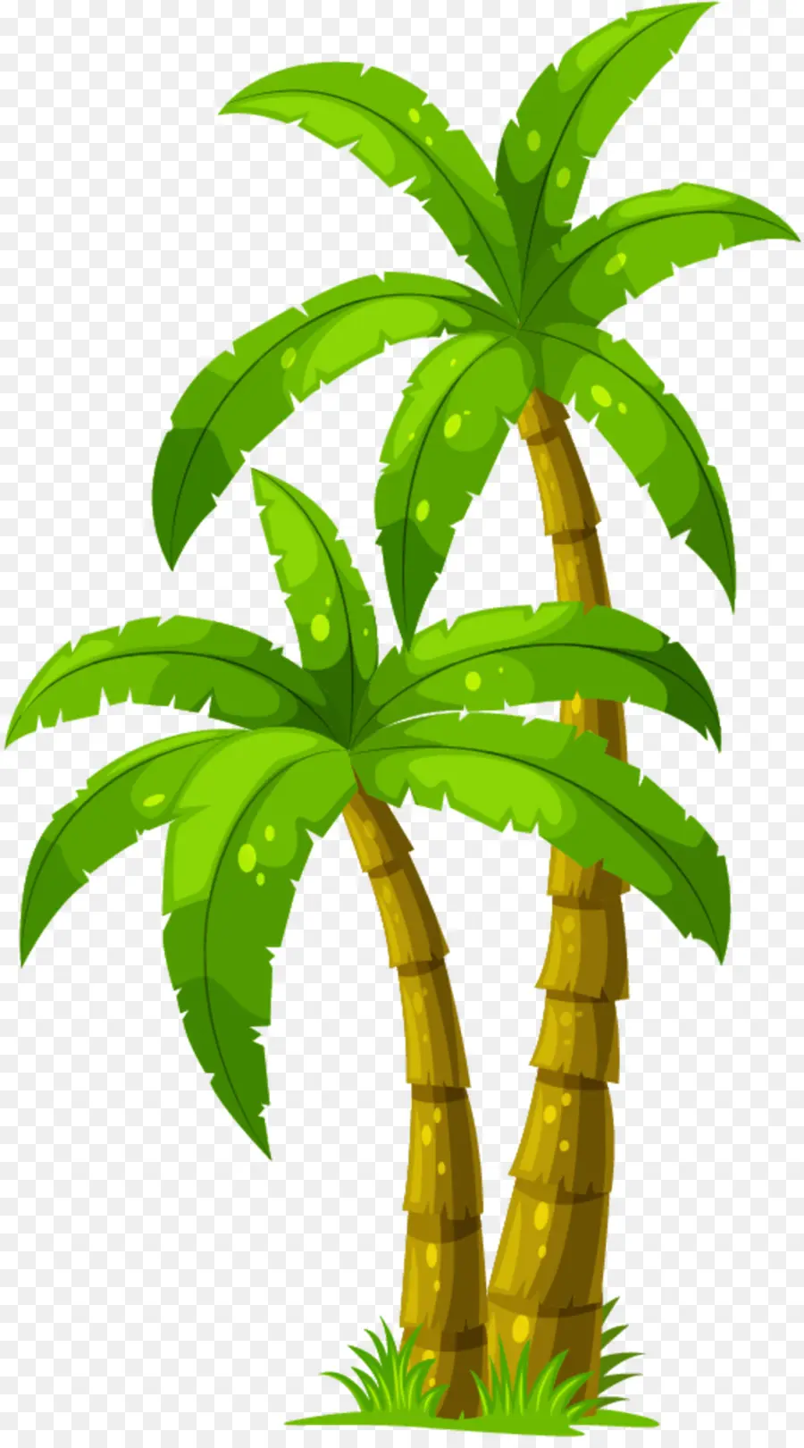 Les Palmiers，Dessin PNG
