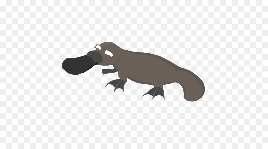 Ornithorynque，Chien PNG