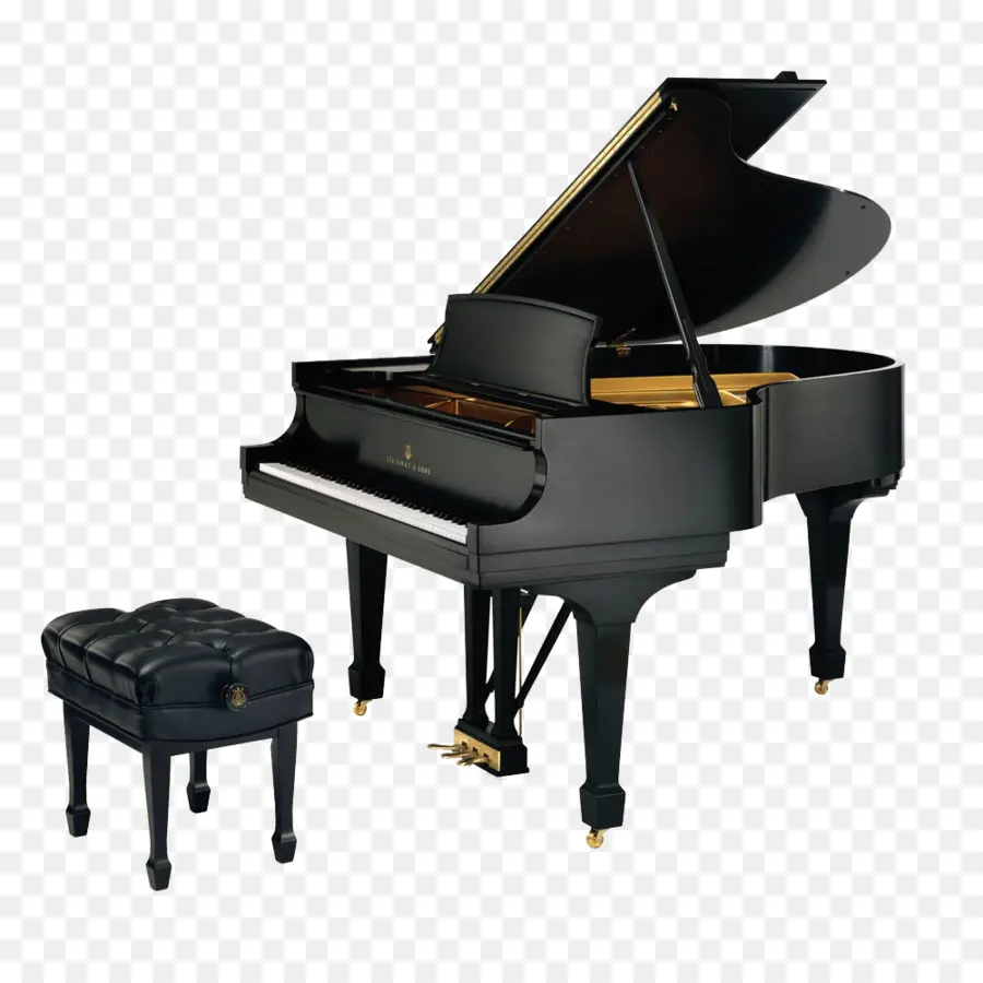 Piano Noir，Banc PNG