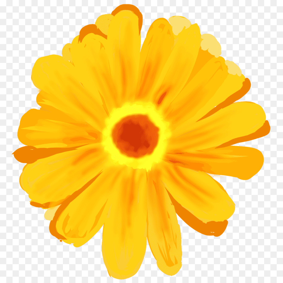 Fleur Jaune，Fleur PNG