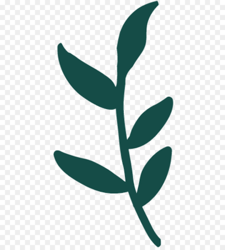 Tige De La Plante，Feuille PNG