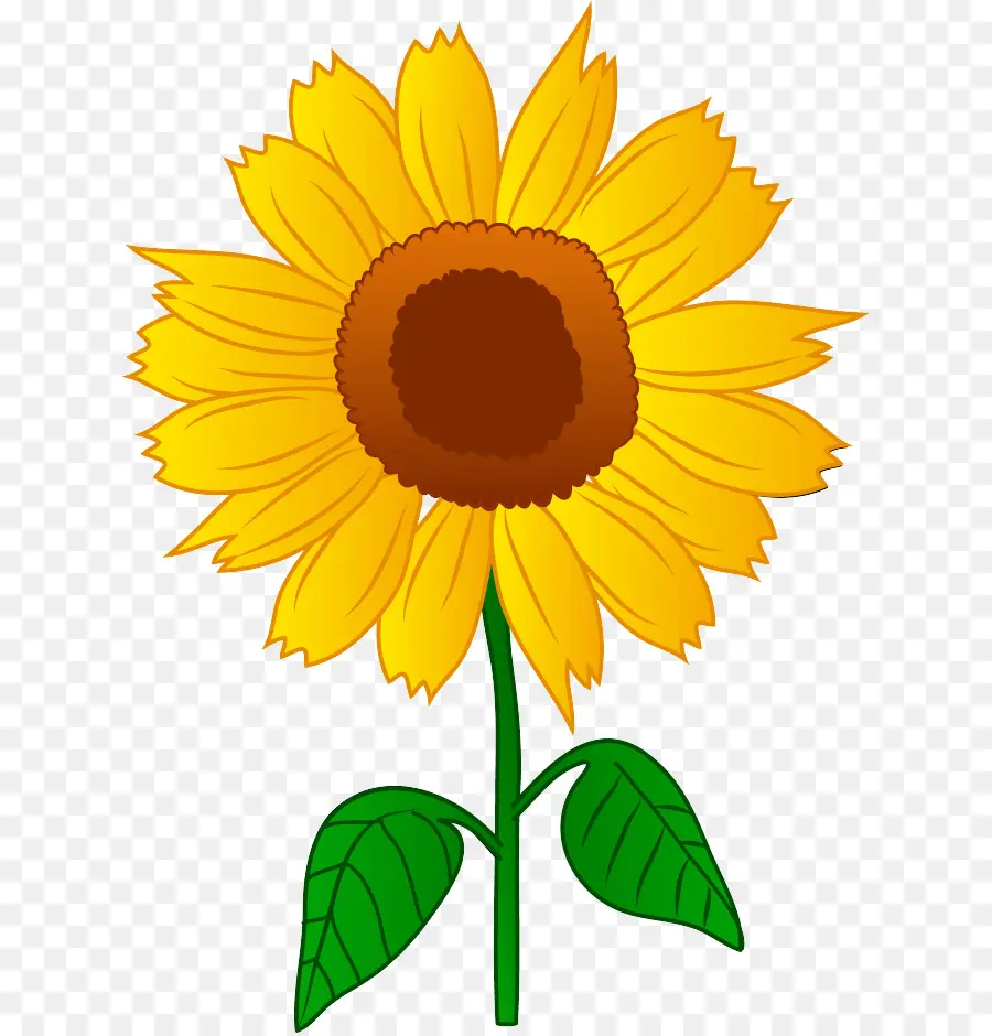 L'art En Ligne，Tournesol PNG