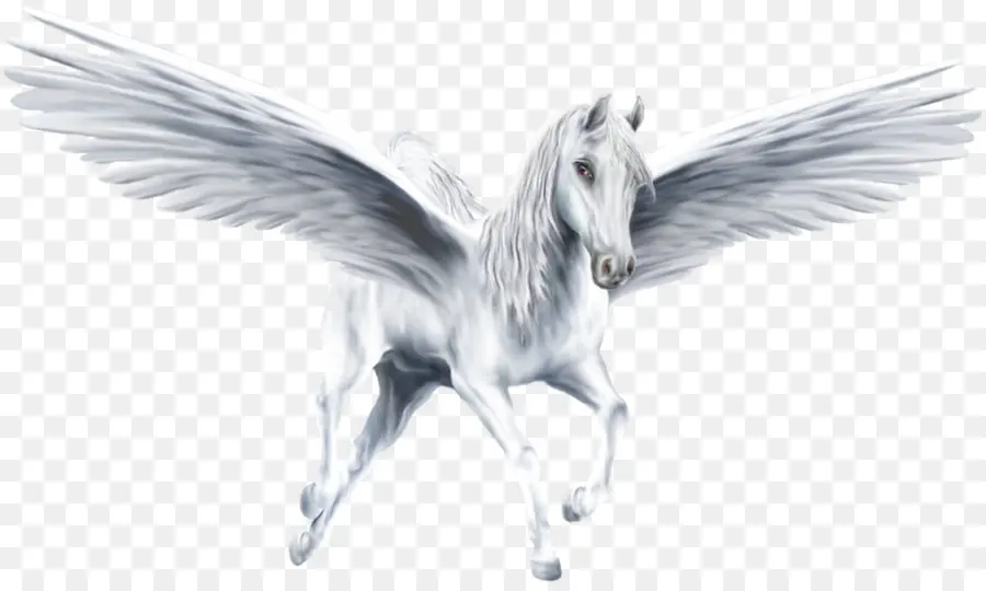 Pegasus，Licorne PNG