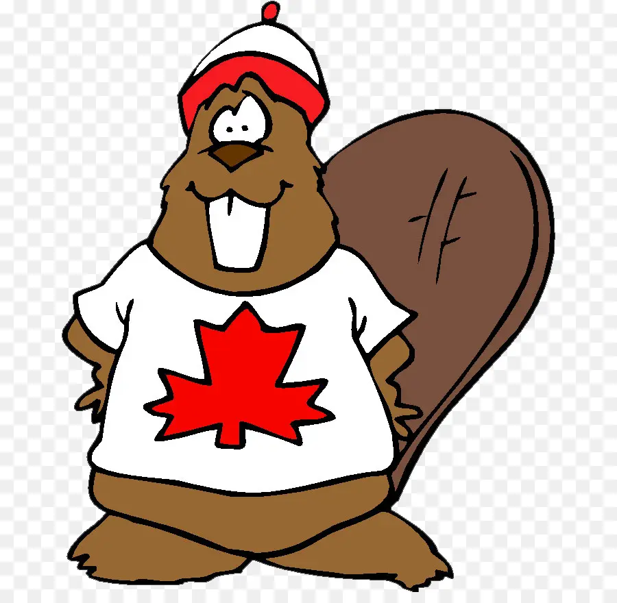 Castor Canadien，Castor PNG