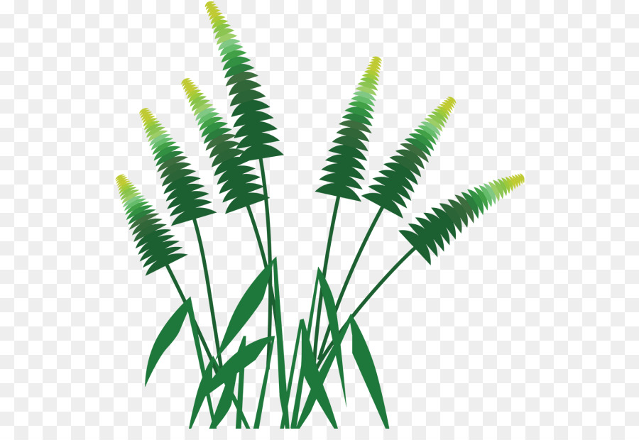 Feuille，Les Palmiers PNG