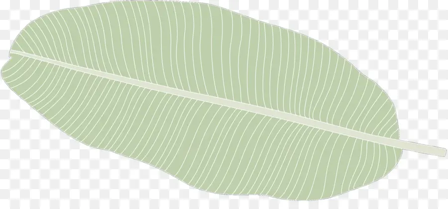 Feuille，Vert PNG