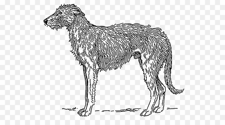 Chien，Animal De Compagnie PNG